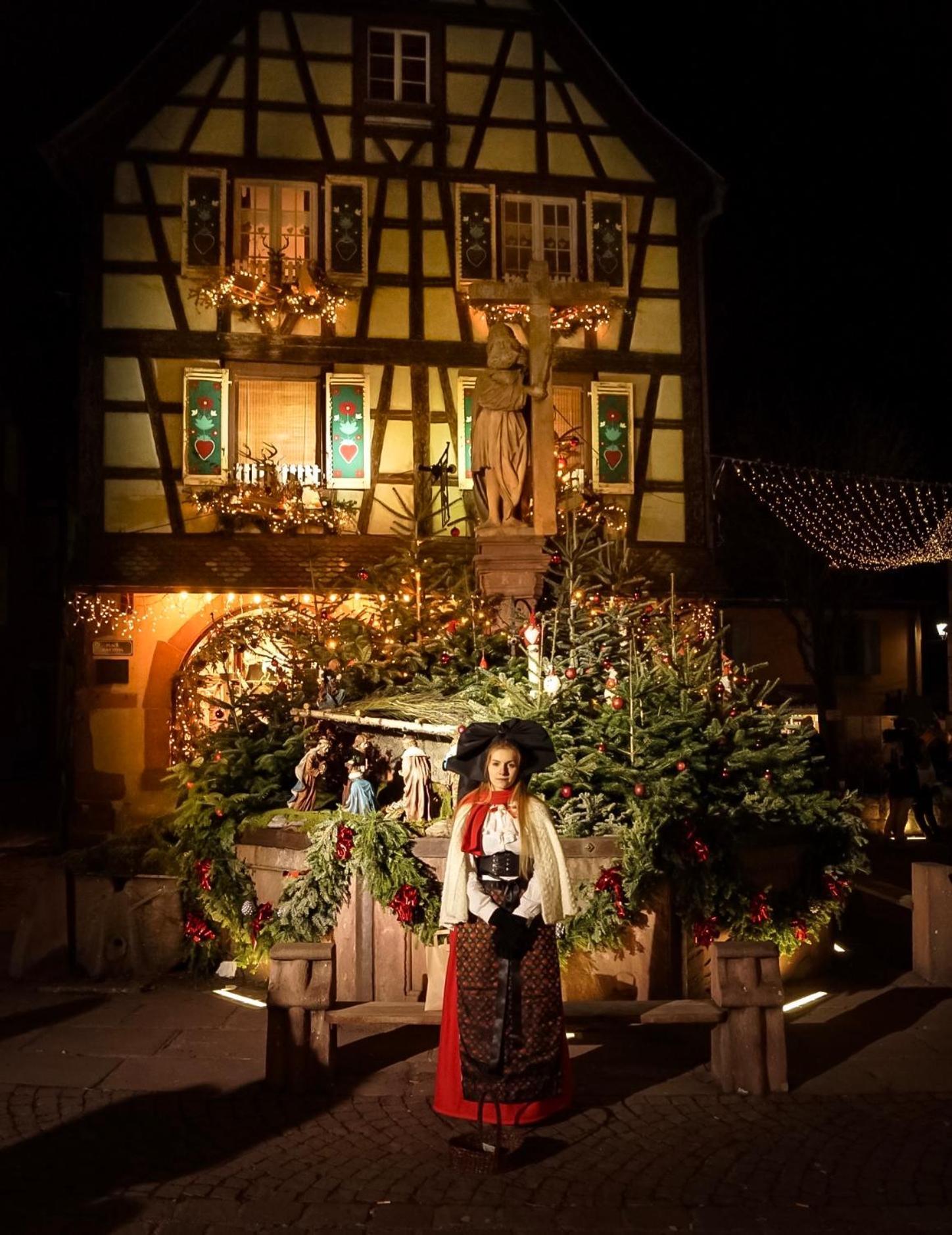 Gite Les Lilas, Centre Alsace, Avec Jacuzzi Mackenheim Εξωτερικό φωτογραφία